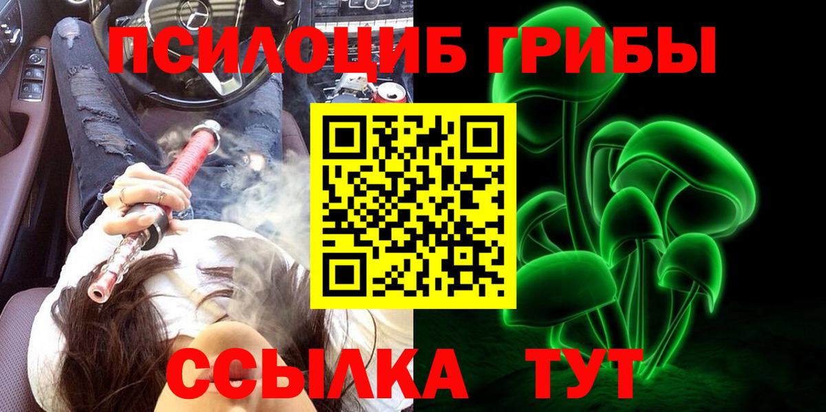 Псилоцибиновые грибы ЛСД  Вход с VPN  что такое наркотик  Сертолово  Галлюциногенные грибы Psilocybe 